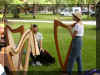 harps 2.jpg (92307 bytes)